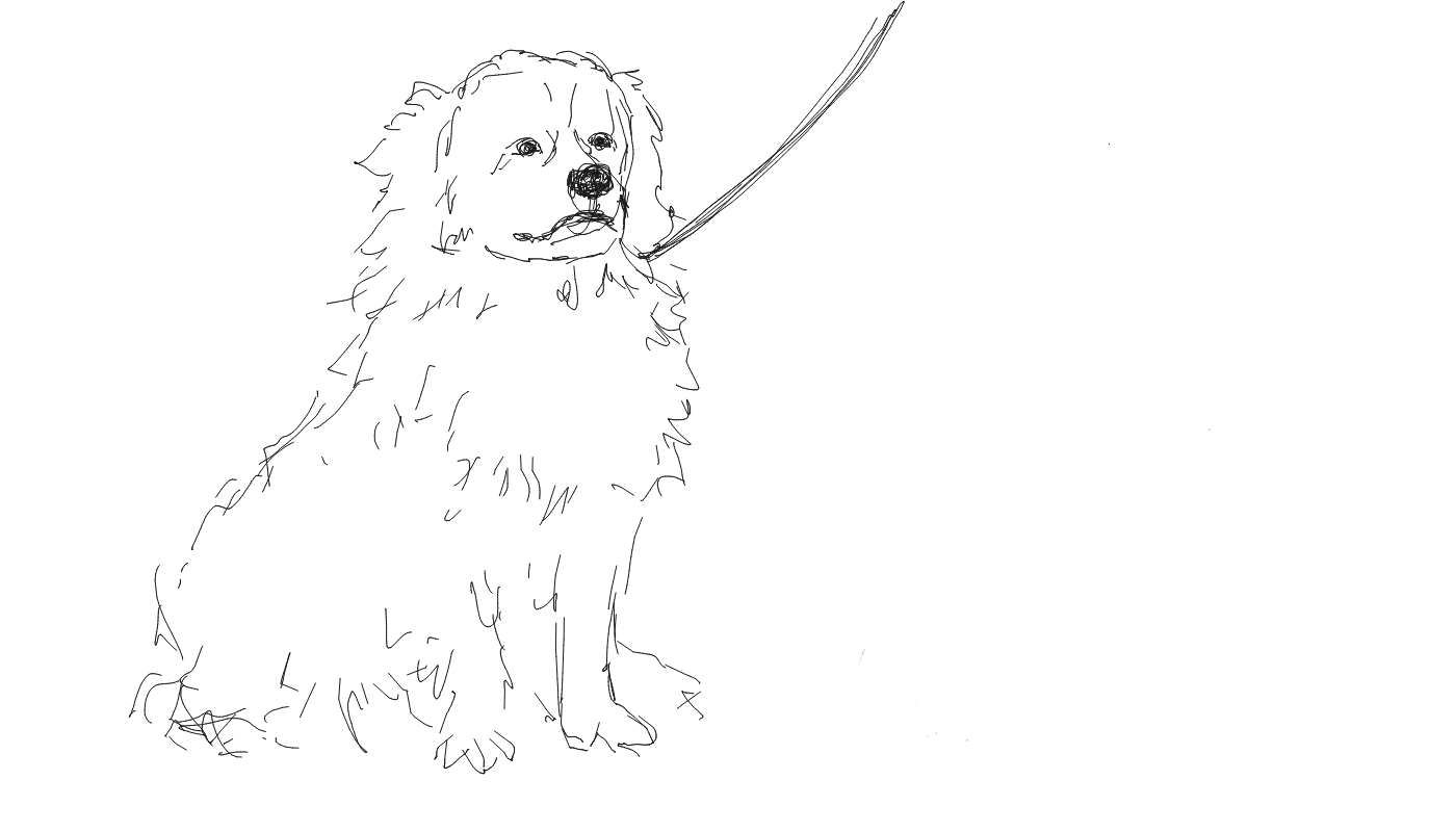 Без названия