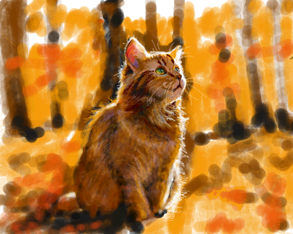 Осенний кот — Марина Нехороших