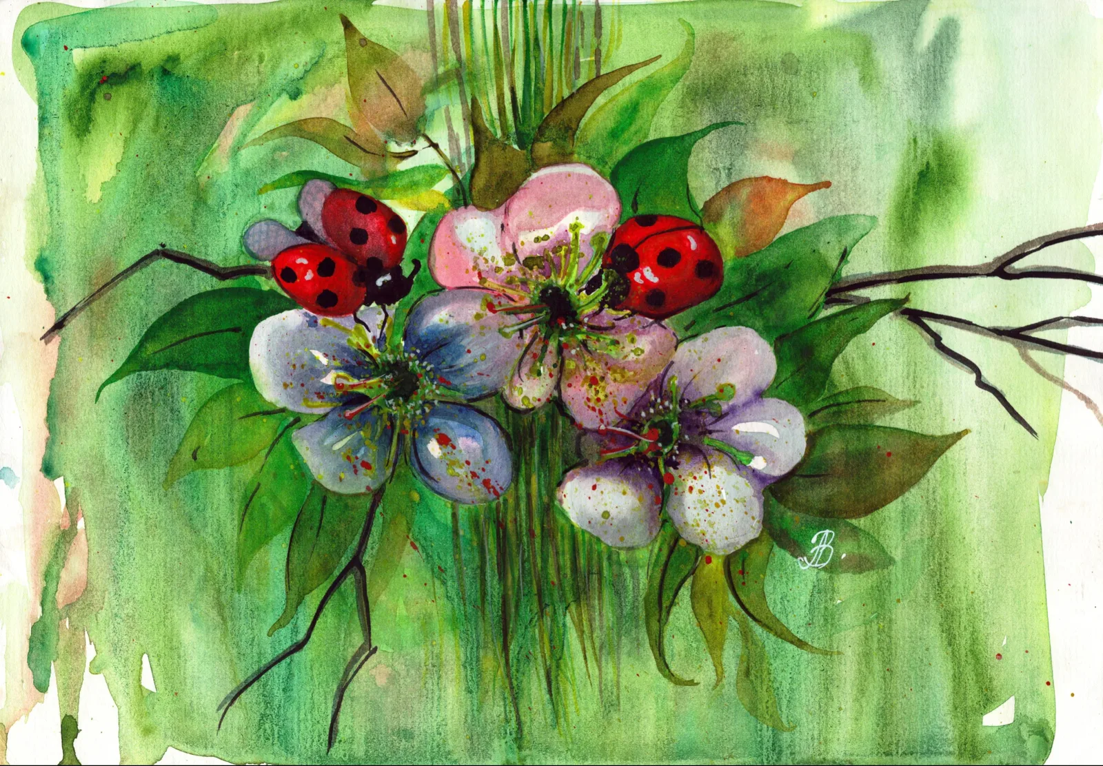 Божьи коровки