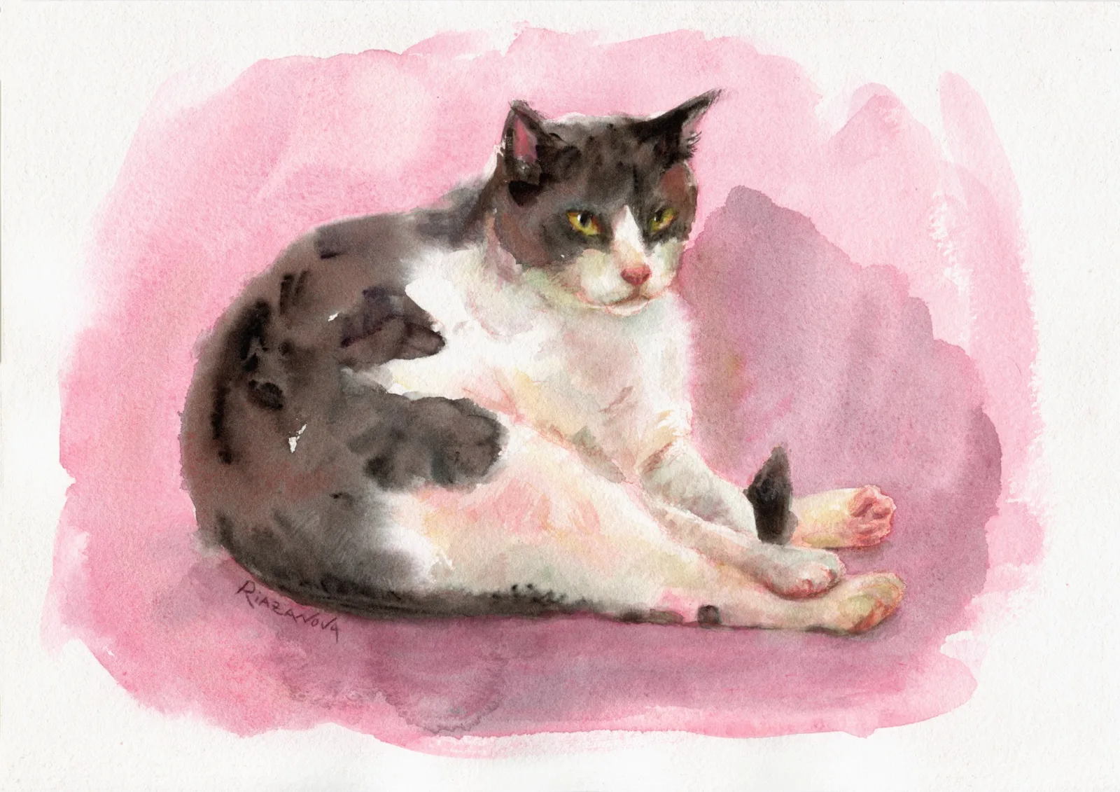 Котик