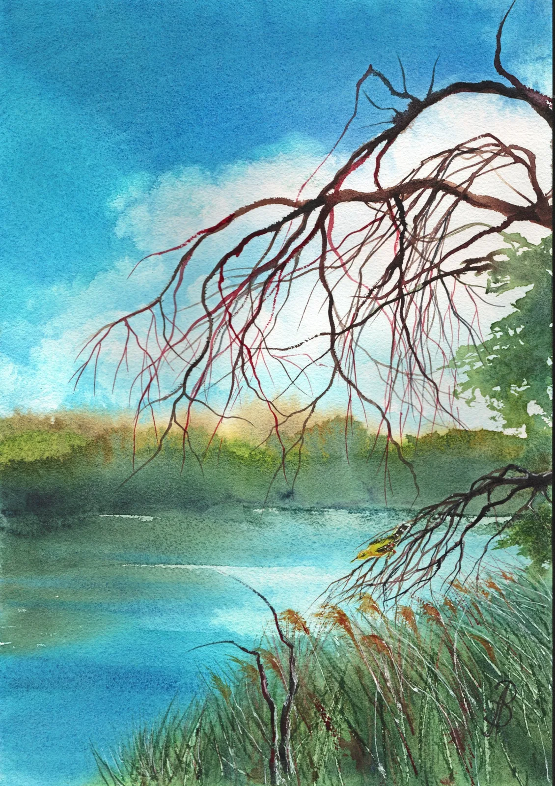 Картина «Иволга у реки» — Алла Валежина, Пейзаж, Название: Иволга у реки
Техника: Акварель
Бумага: Baohong 300 g/m², 100% хлоп…