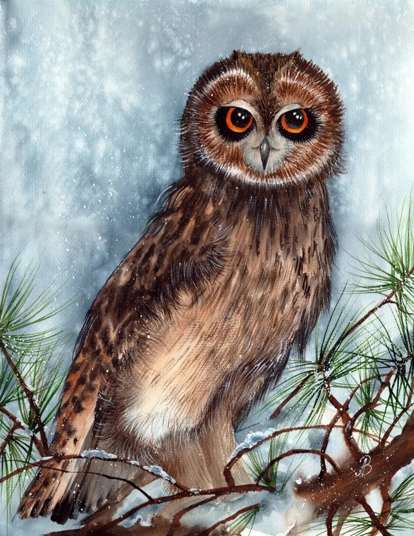 Большая сова