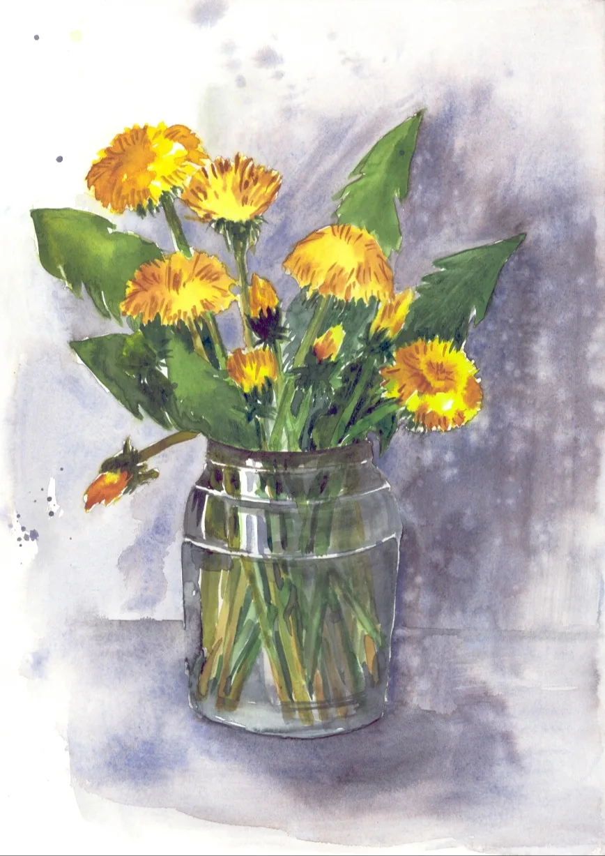 Одуванчики