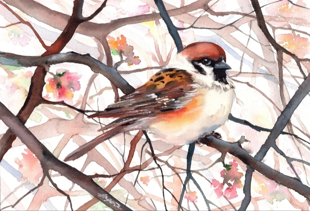 Картина «"Воробышек" картина кварелью» — Анна Горынина, Анималистика, Работа размером 21х29 см (формат А4)
Материалы: акварель, бумага 200 гр.
Карт…