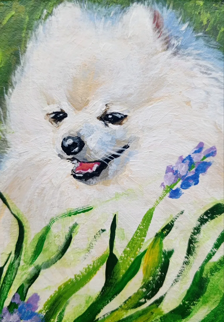 Картина «Летний шпиц» — Маргарита Снигирёва, Анималистика, Миниатюра