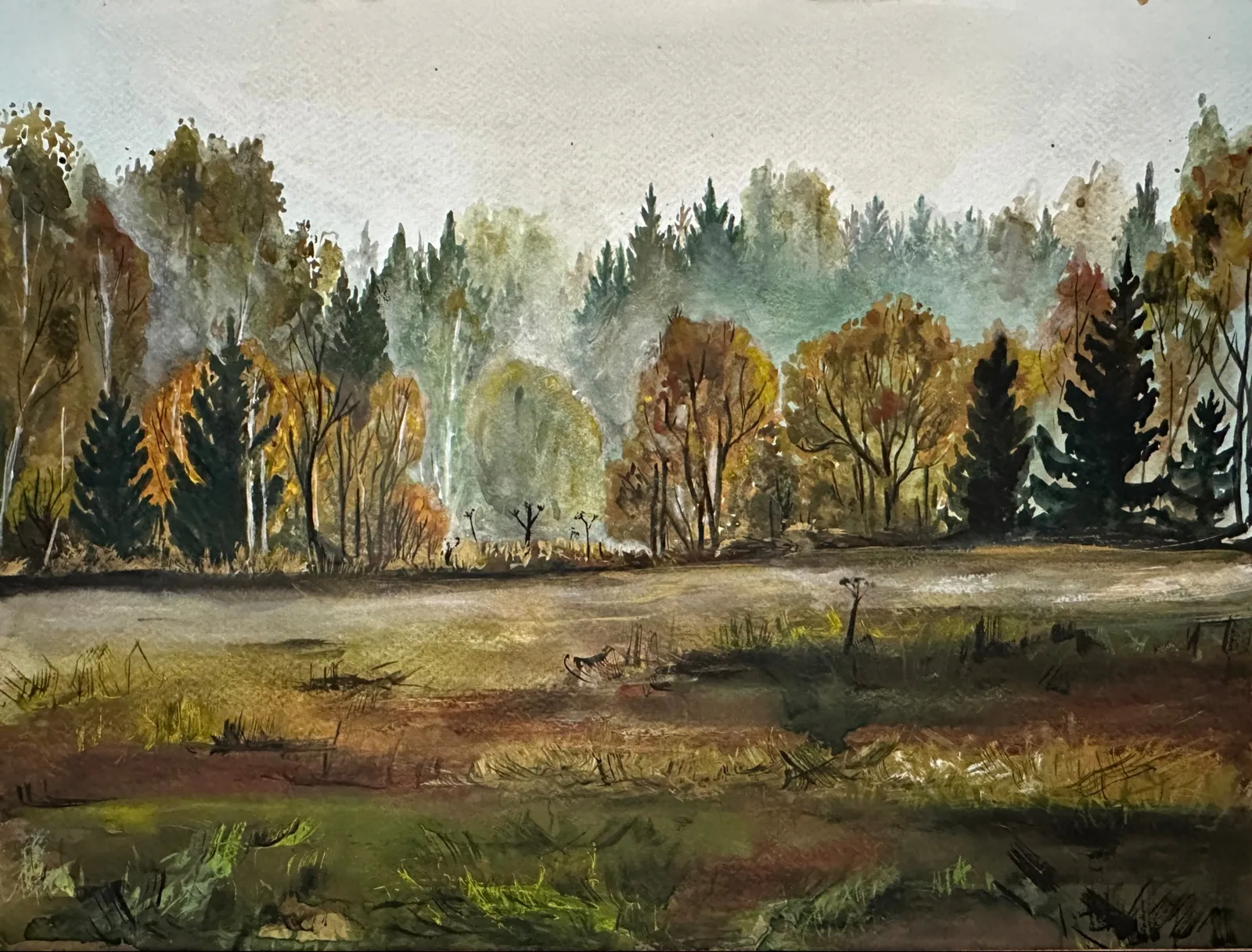 Картина «Рижские зори» — Анастасия Епифанова, Пейзаж, Образ спокойной осенней природы, который запечатлела акварелью, начал складыват…