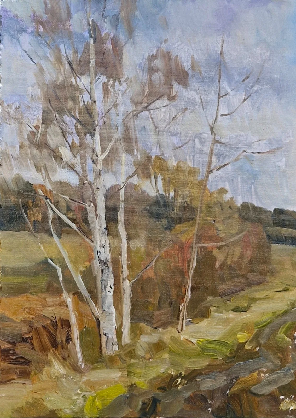 Работа Светлана Родионова