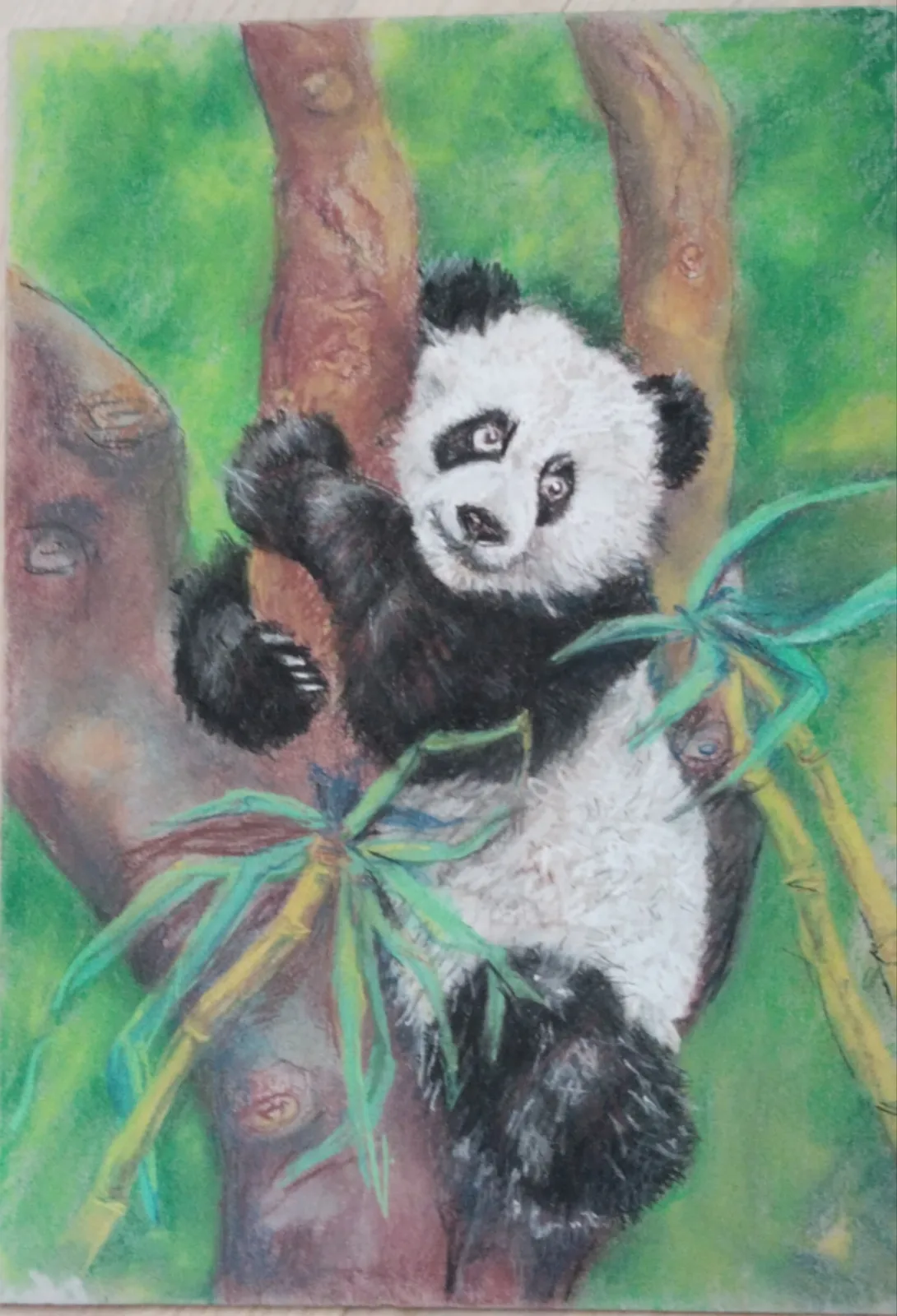 Картина «Панда» — Валентина Пчелина, Анималистика, Тихий лесной закат, мягкий свет, который проникает сквозь деревья, вдохновил ме…