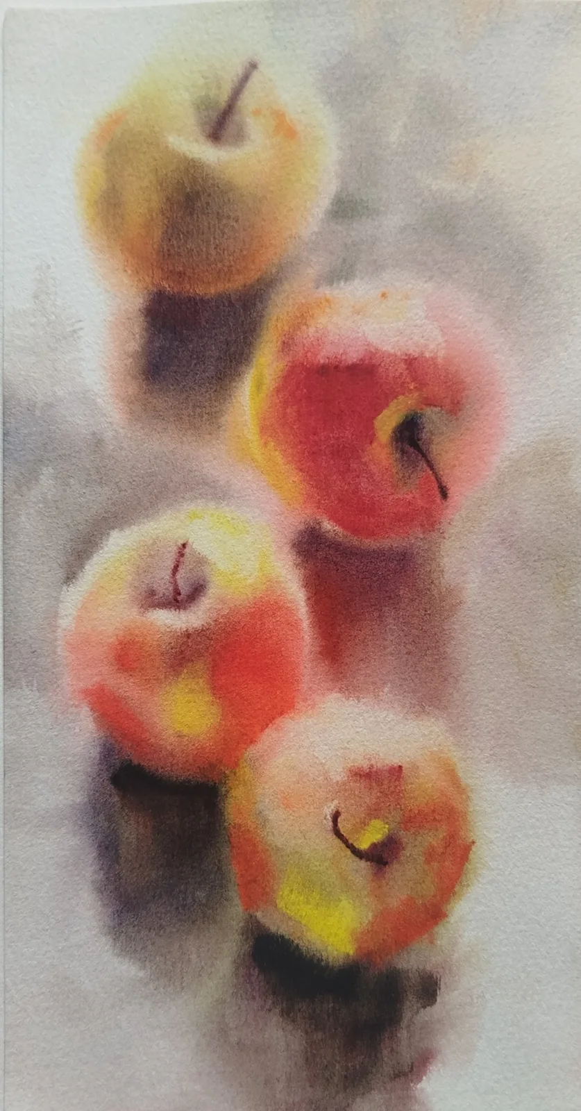 Работа Екатерина Аносова