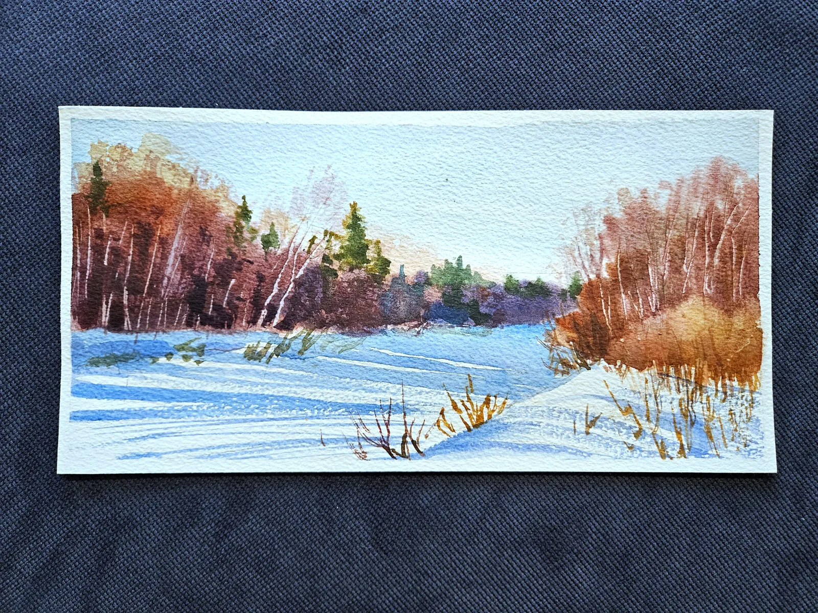 Весенние тени