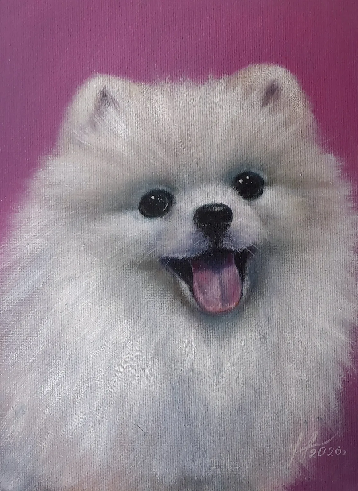 Картина «Шпиц» — Юлия Уфимцева, Анималистика, Белый шпиц на розовом фоне.
Стильная картина маслом, которая добавит шарма ваш…