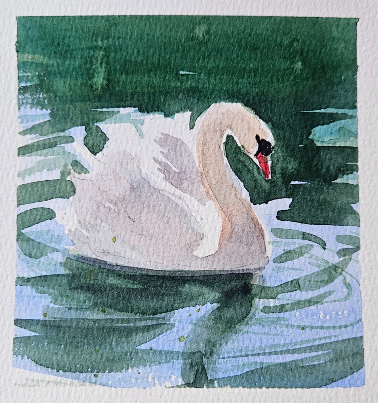 Картина «Лебединая нежность» — Ксения Ползикова, Анималистика, Лебедь является символом чистоты и верности во многих культурах мира. Он выбира…