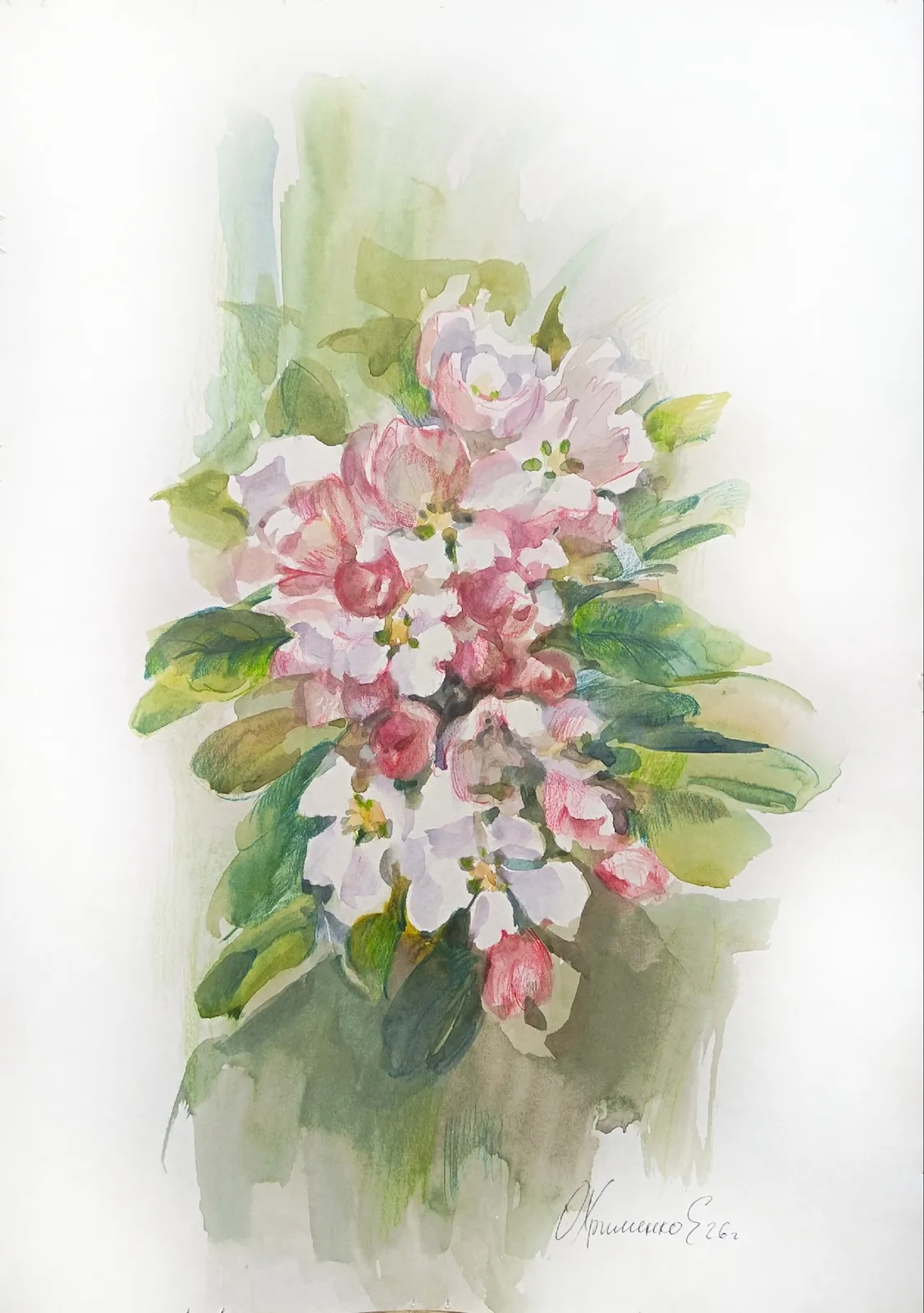 Работа Екатерина Охрименко