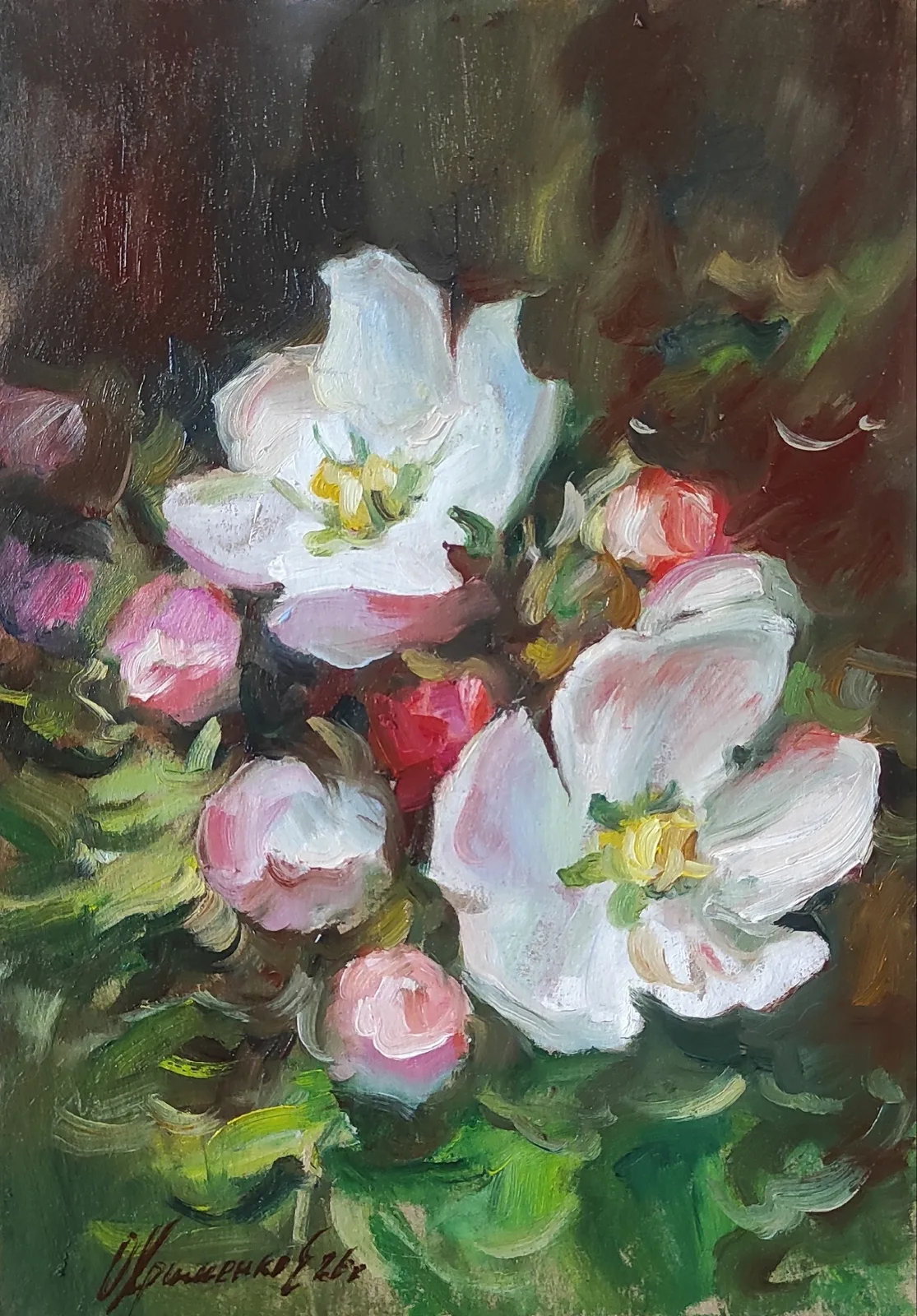 Картина «Яблоня.» — Екатерина Охрименко, Другое, На картине изображена яблоня в цвету. Белые и розовые цветы выделяются на фоне …