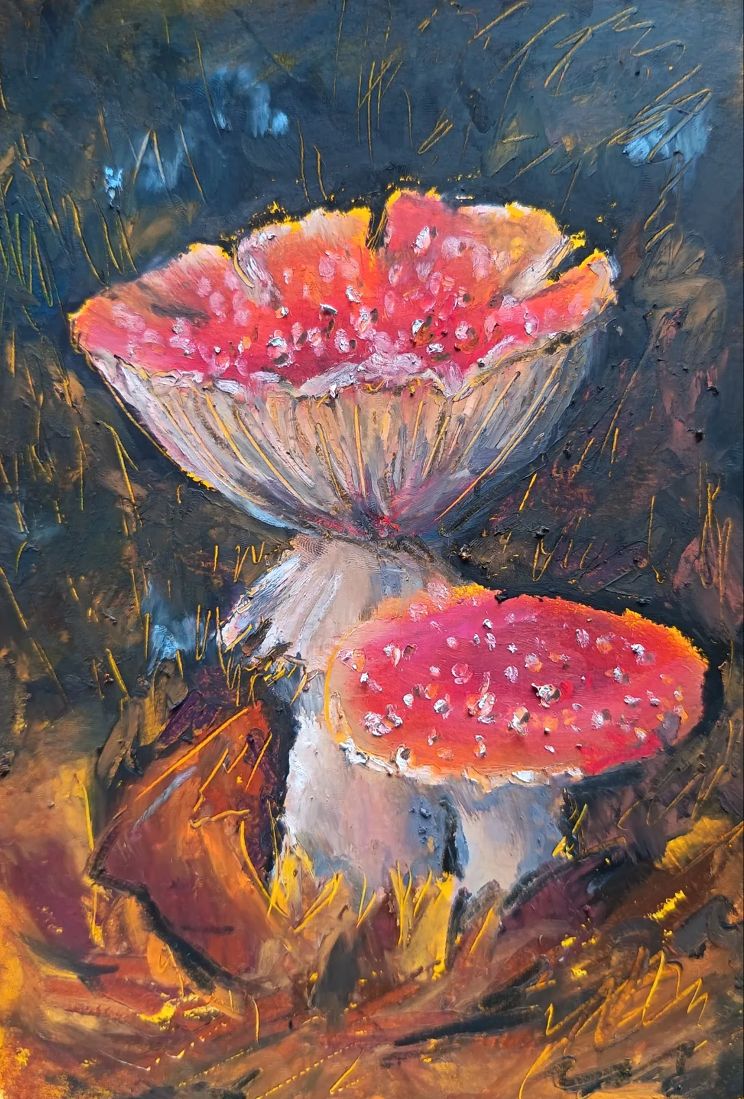 Мухоморы 15*20 см.