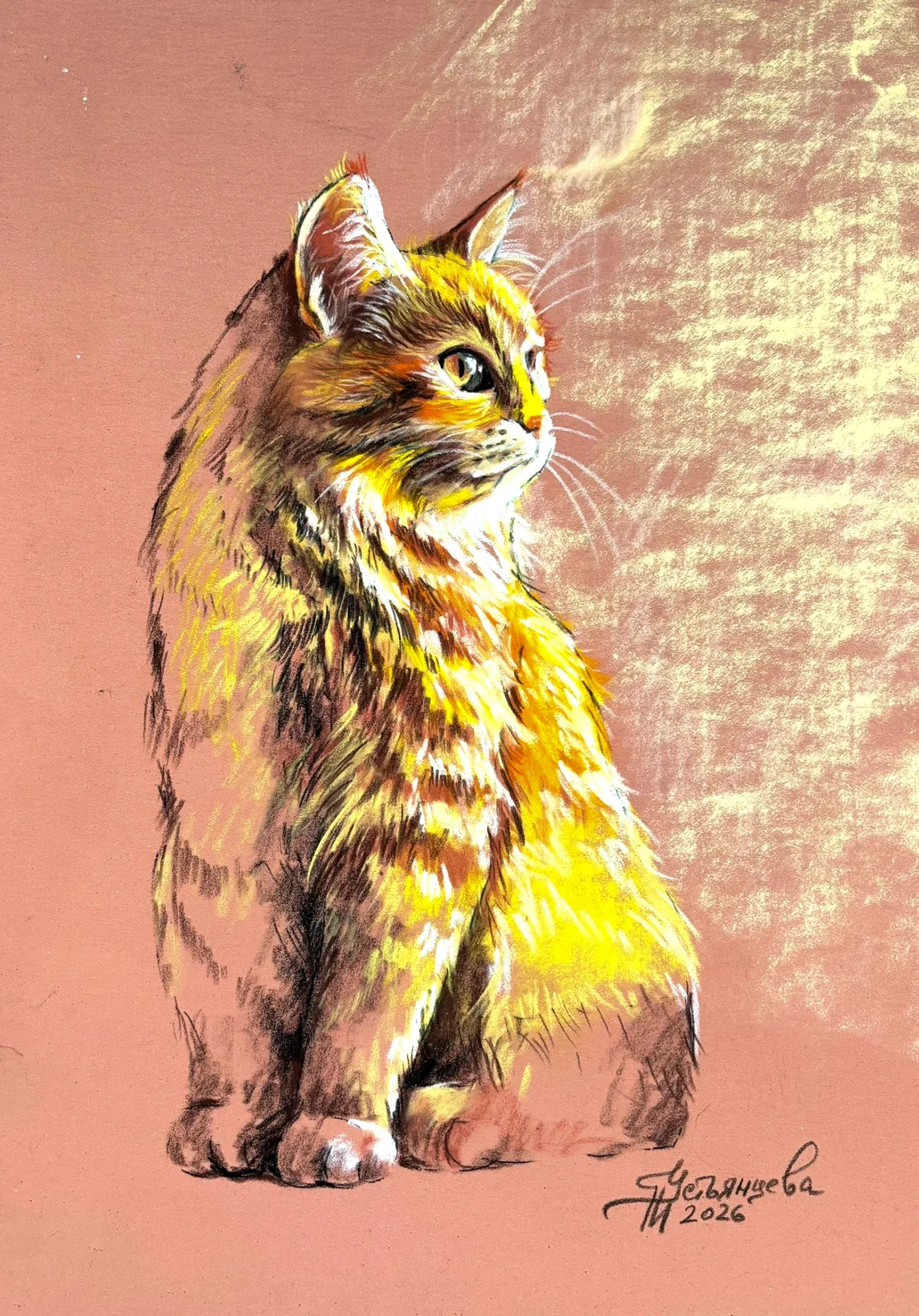 Картина «Котик» — Татьяна Устьянцева, Анималистика