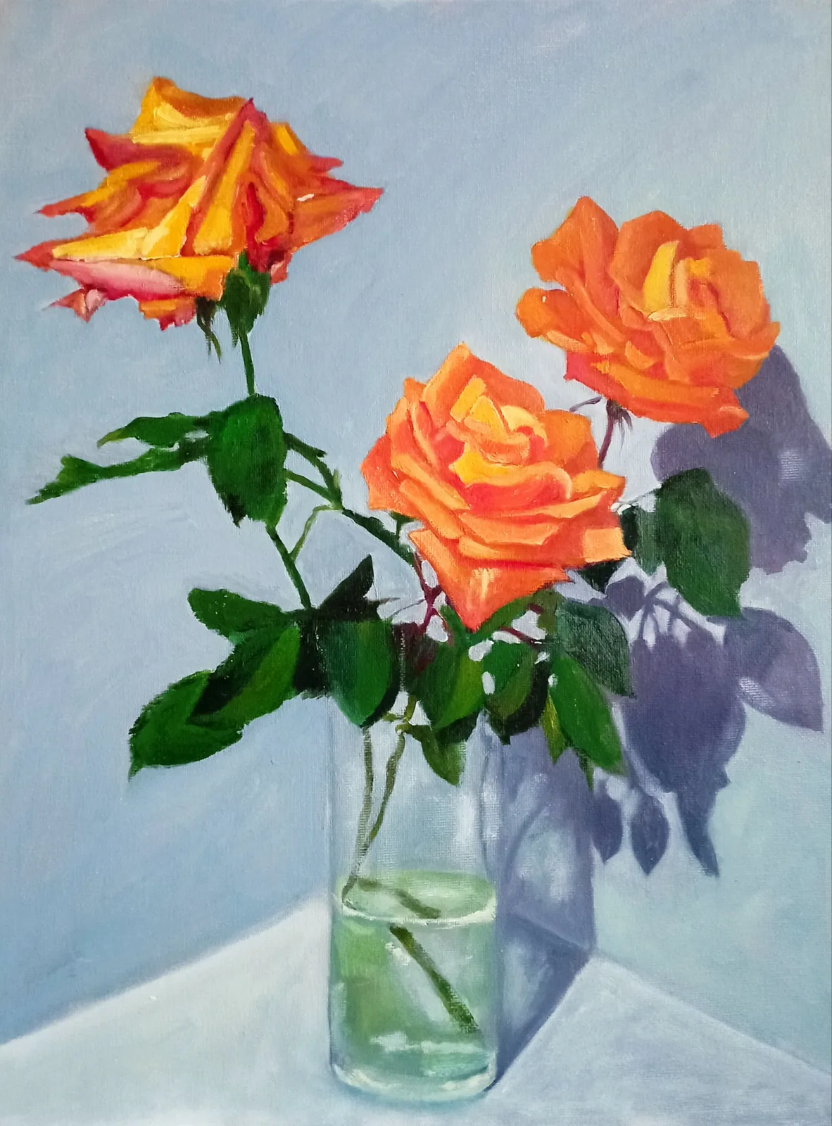 Розы моего сада.