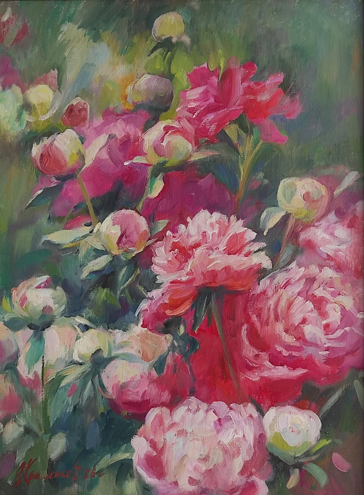 Пионы в саду