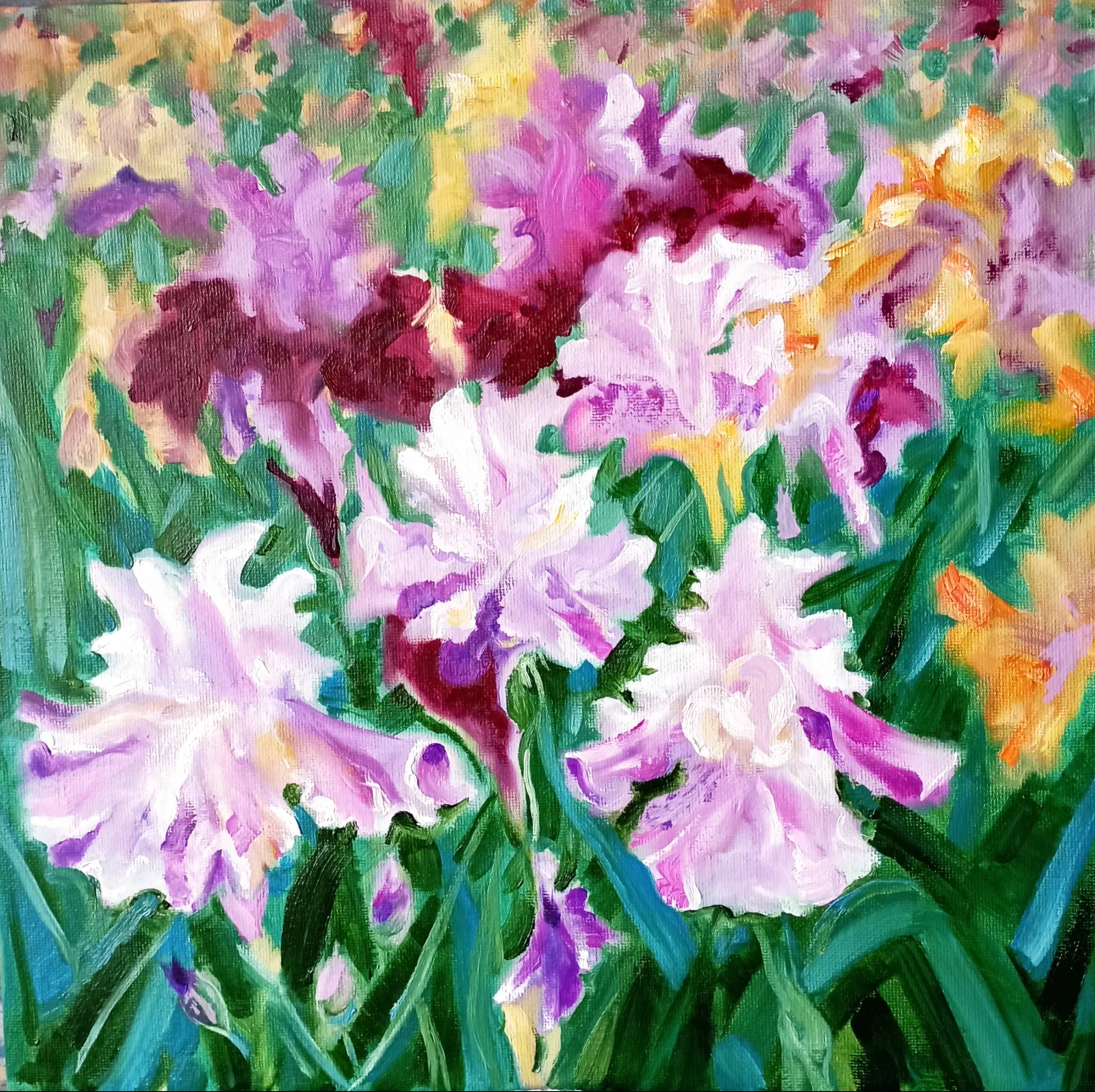 Ирисы