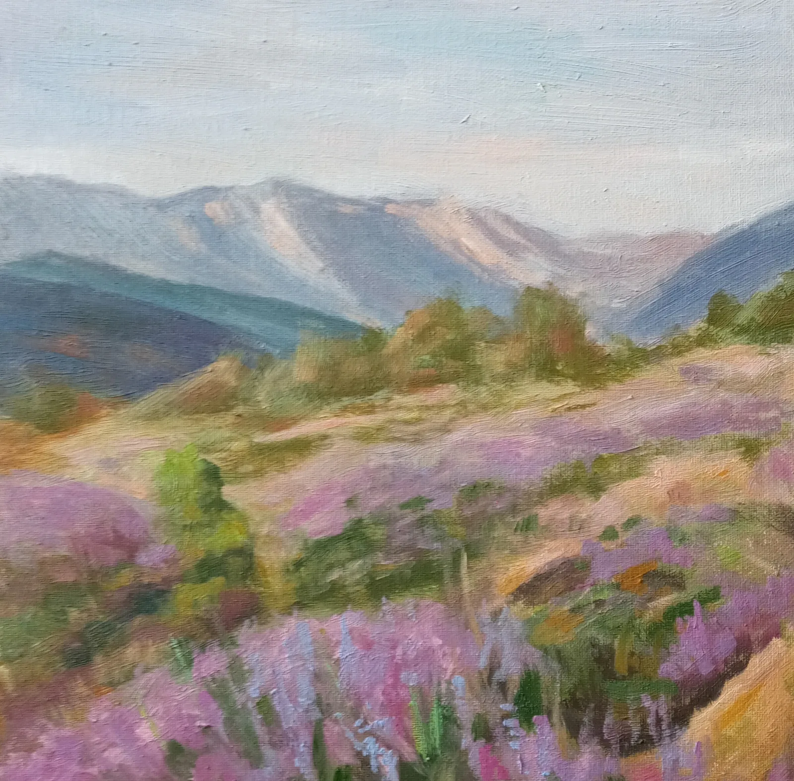 Картина «Дикая лаванда» — Лана Саулина, Пейзаж, Лето — время вдохновения! Недавно вернулась с прогулки по полям и написала эту …