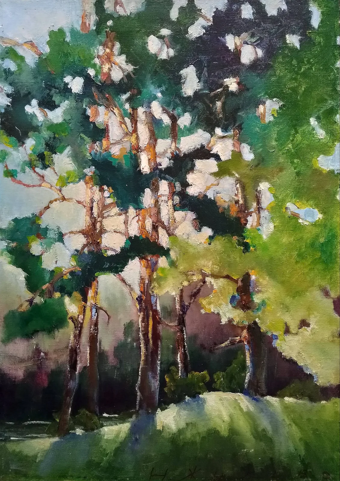Картина «Сосны» — Надежда Жукова, Пейзаж, Я написала эту картину, вдохновившись красотой природы. Масло на холсте легло с…