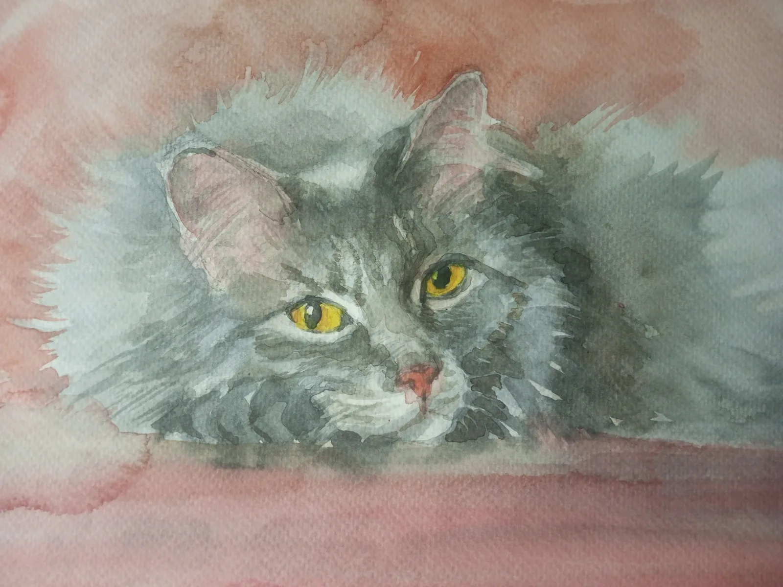Лежащий кот