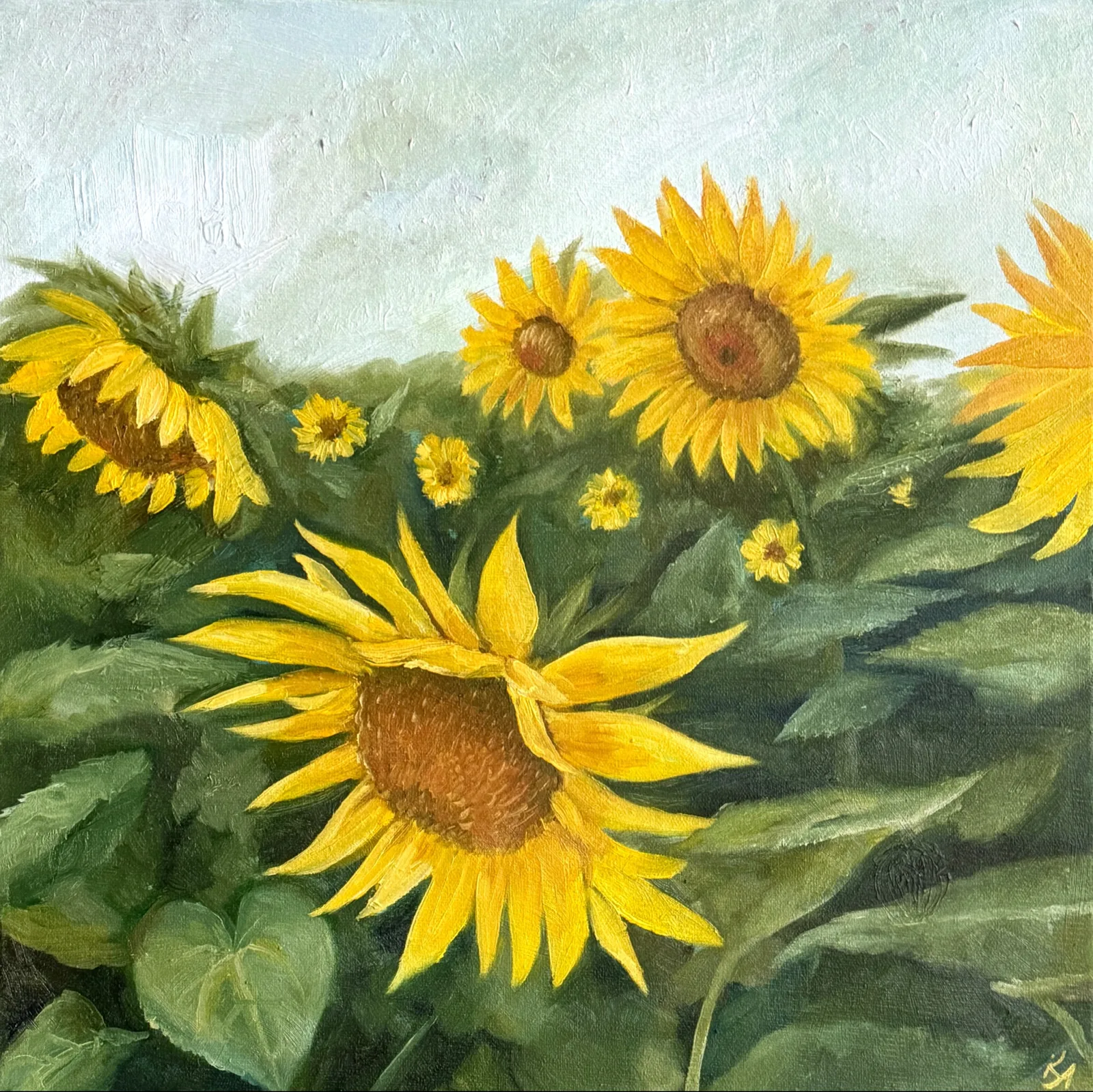 Подсолнухи в серый день