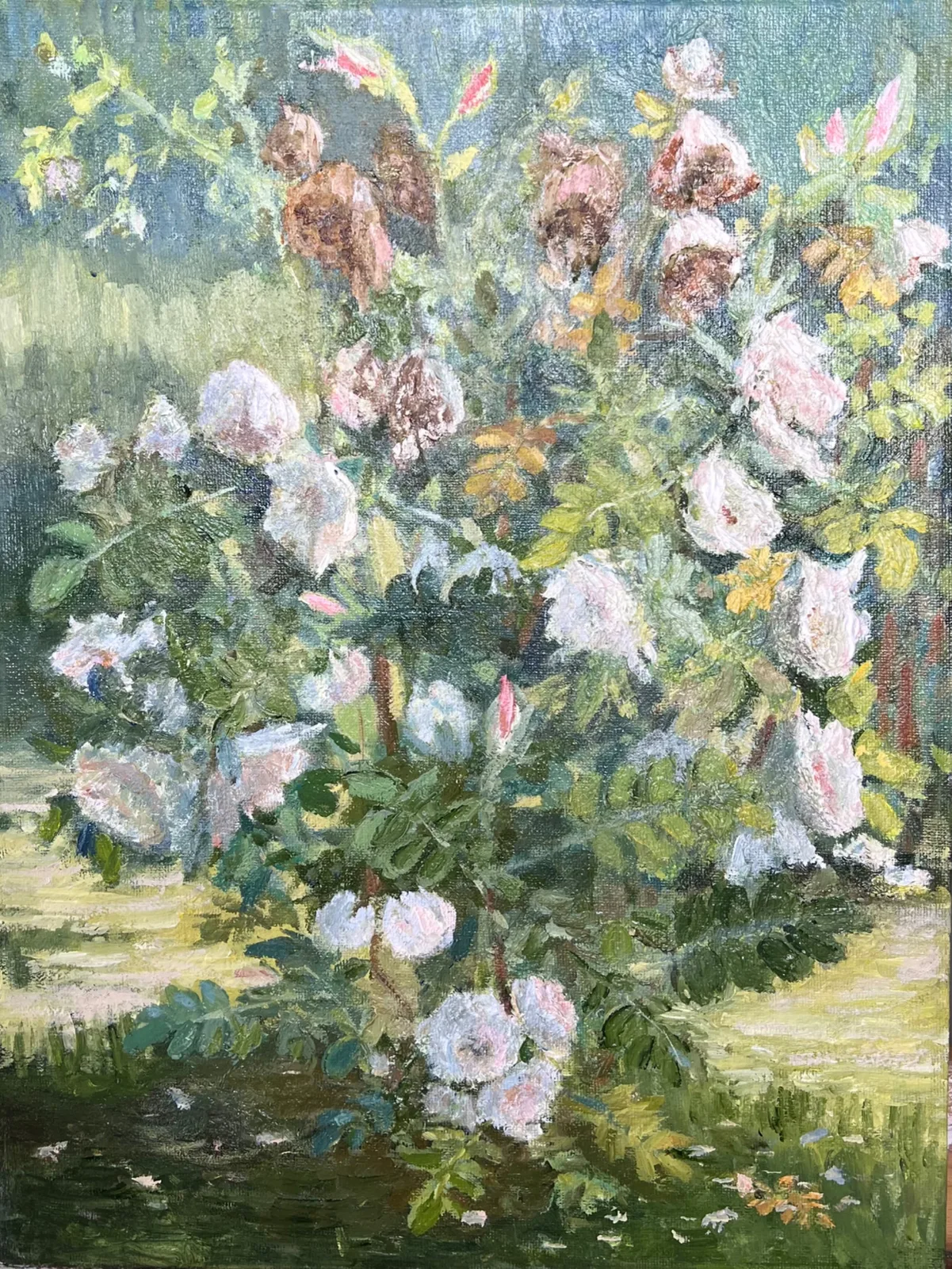 Картина «Шиповник.» — Татьяна Жарова, Пейзаж, аукцион Artstore