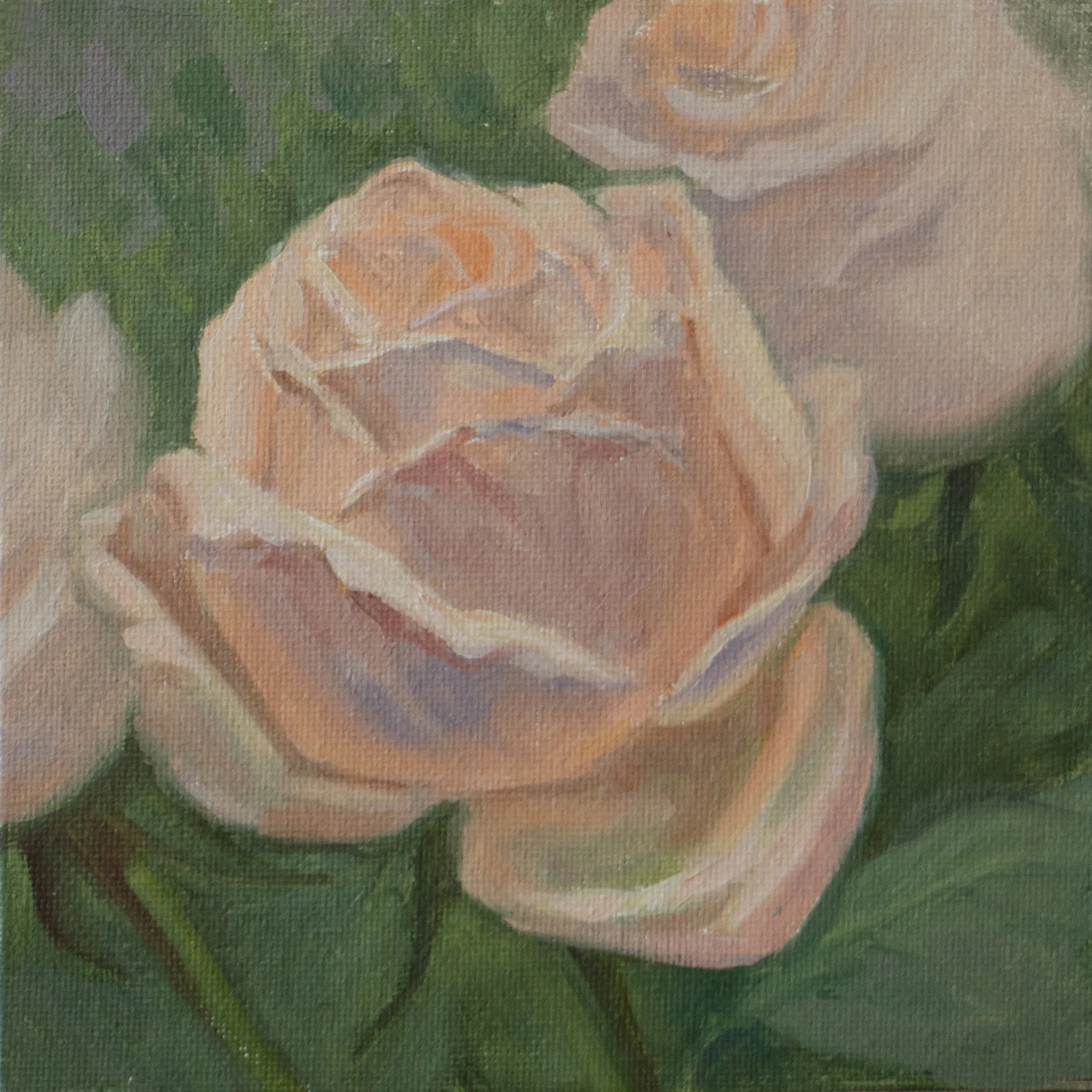 Картина «"Нежная роза"» — Алена Пьяных, Натюрморт, Картина "Нежная роза" - это трогательное и лирическое произведение, наполненное…