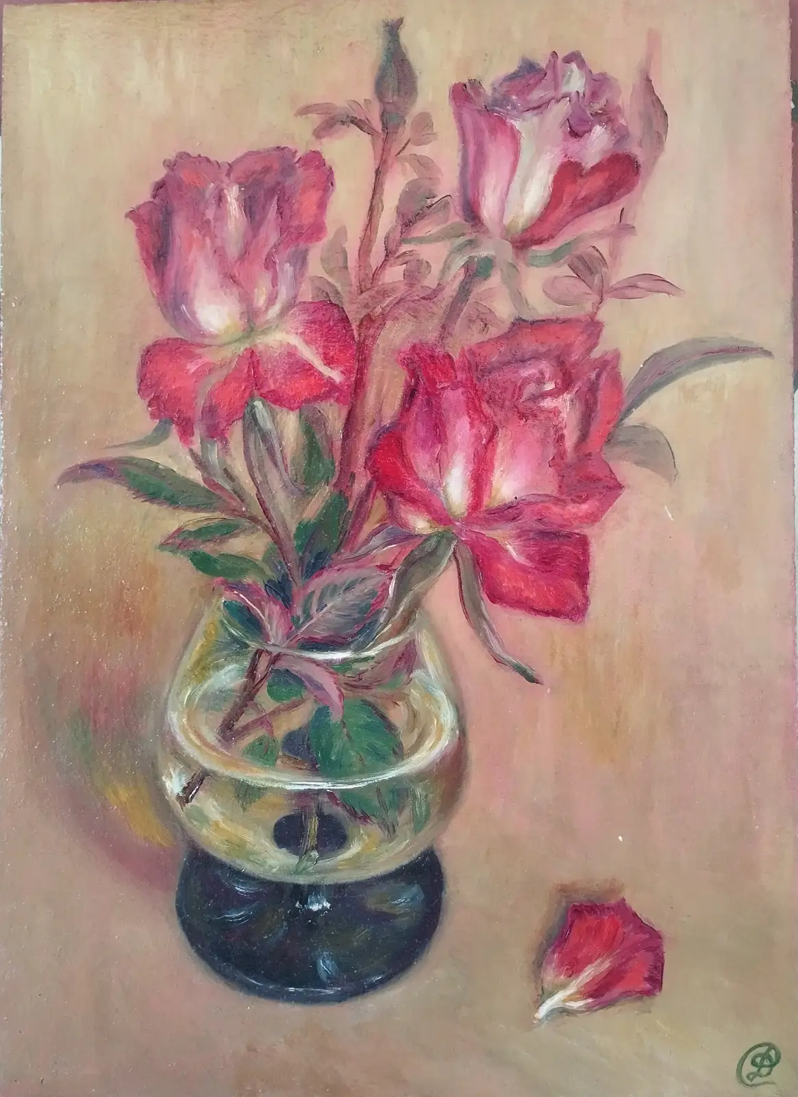 Розы "Альянс"