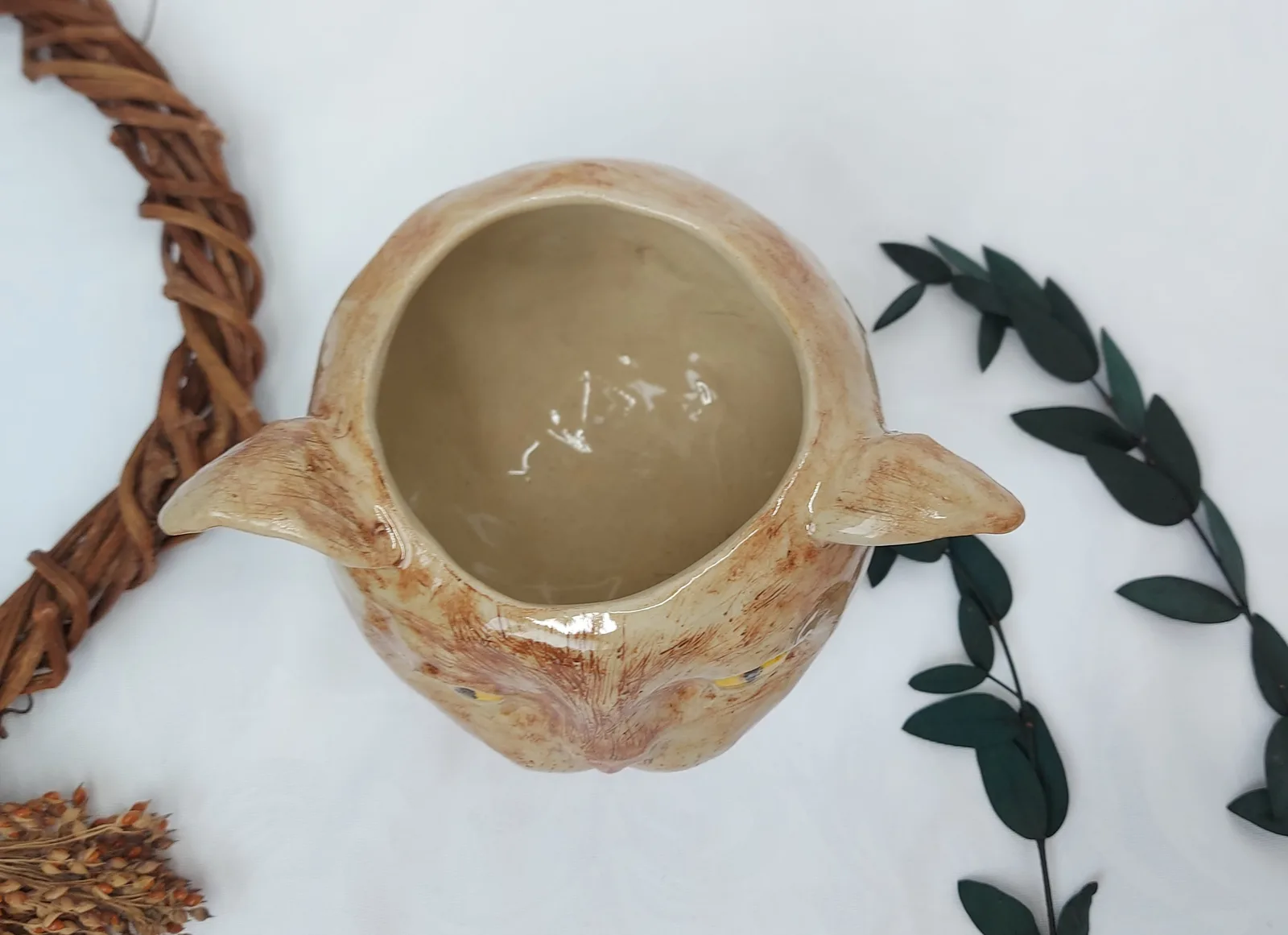 Удивленный котик