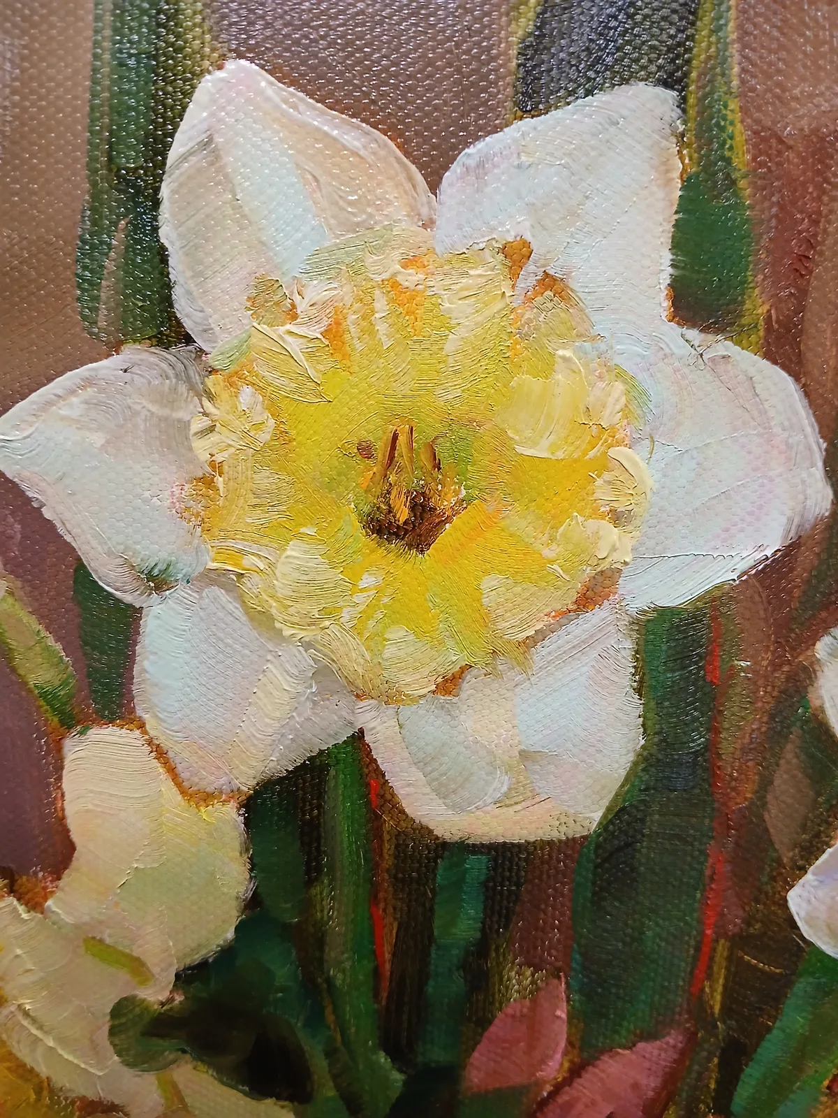 "Нарциссы и морозник"