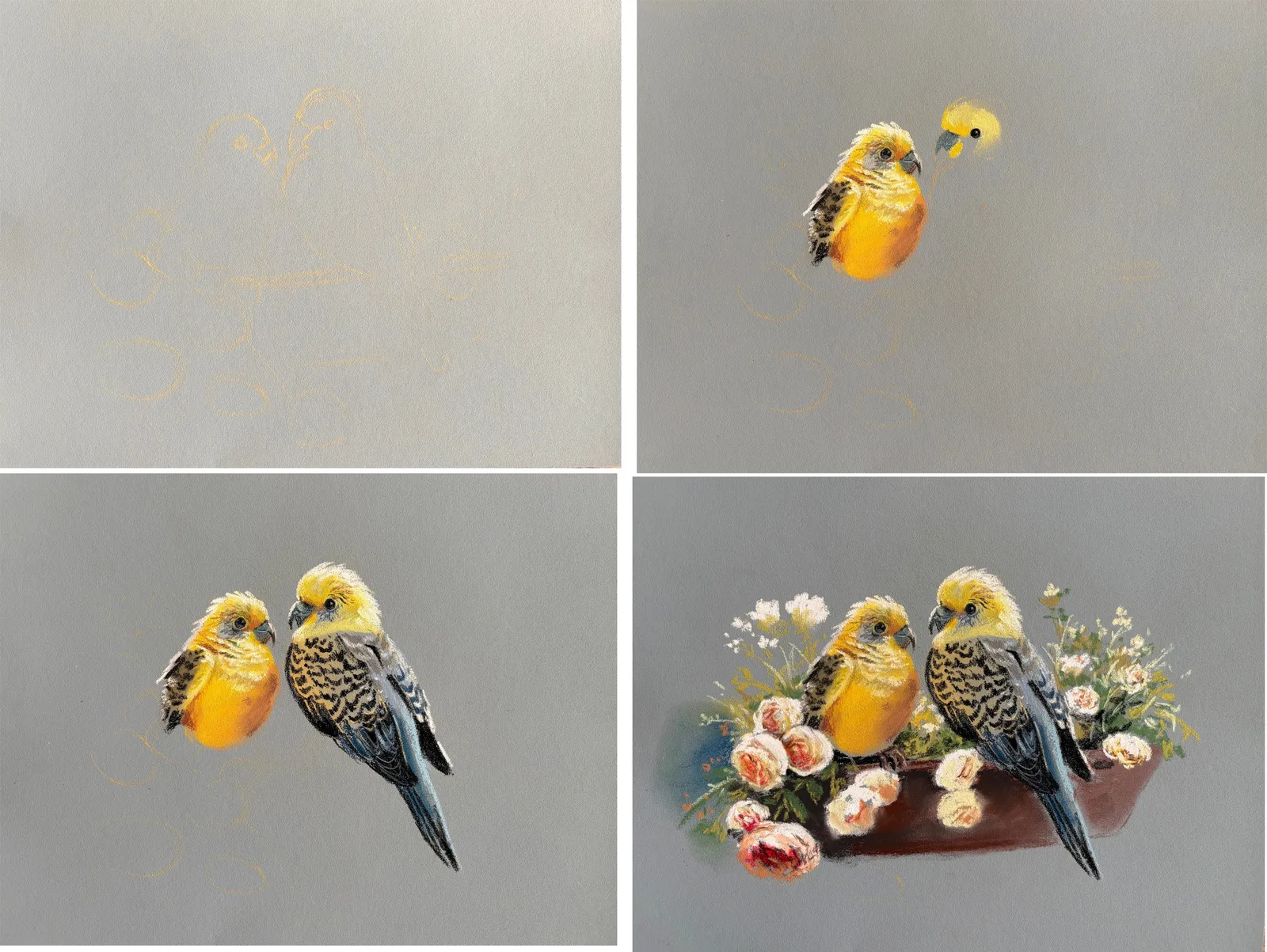 Попугайчики