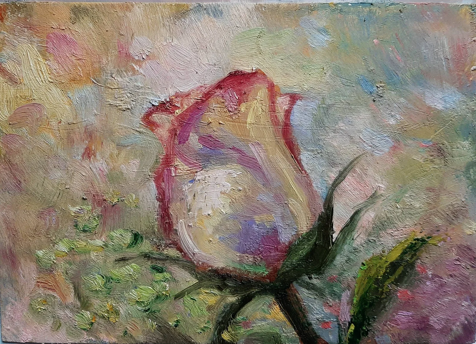 Роза под солнцем