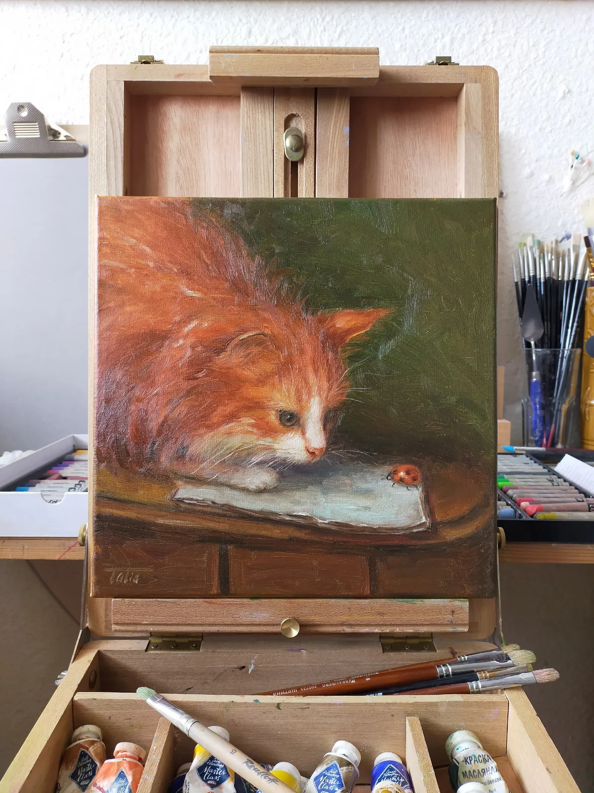 Неожиданный гость - Рыжий кот и божья коровка