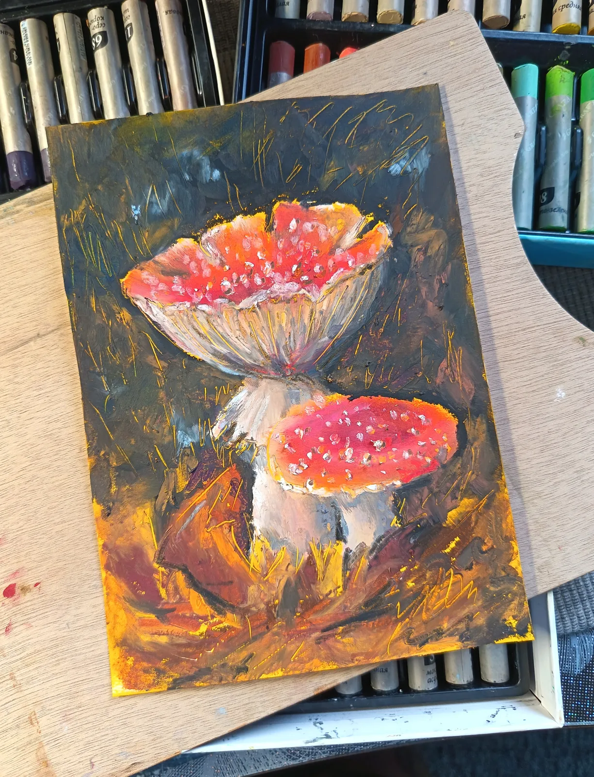 Мухоморы 15*20 см.