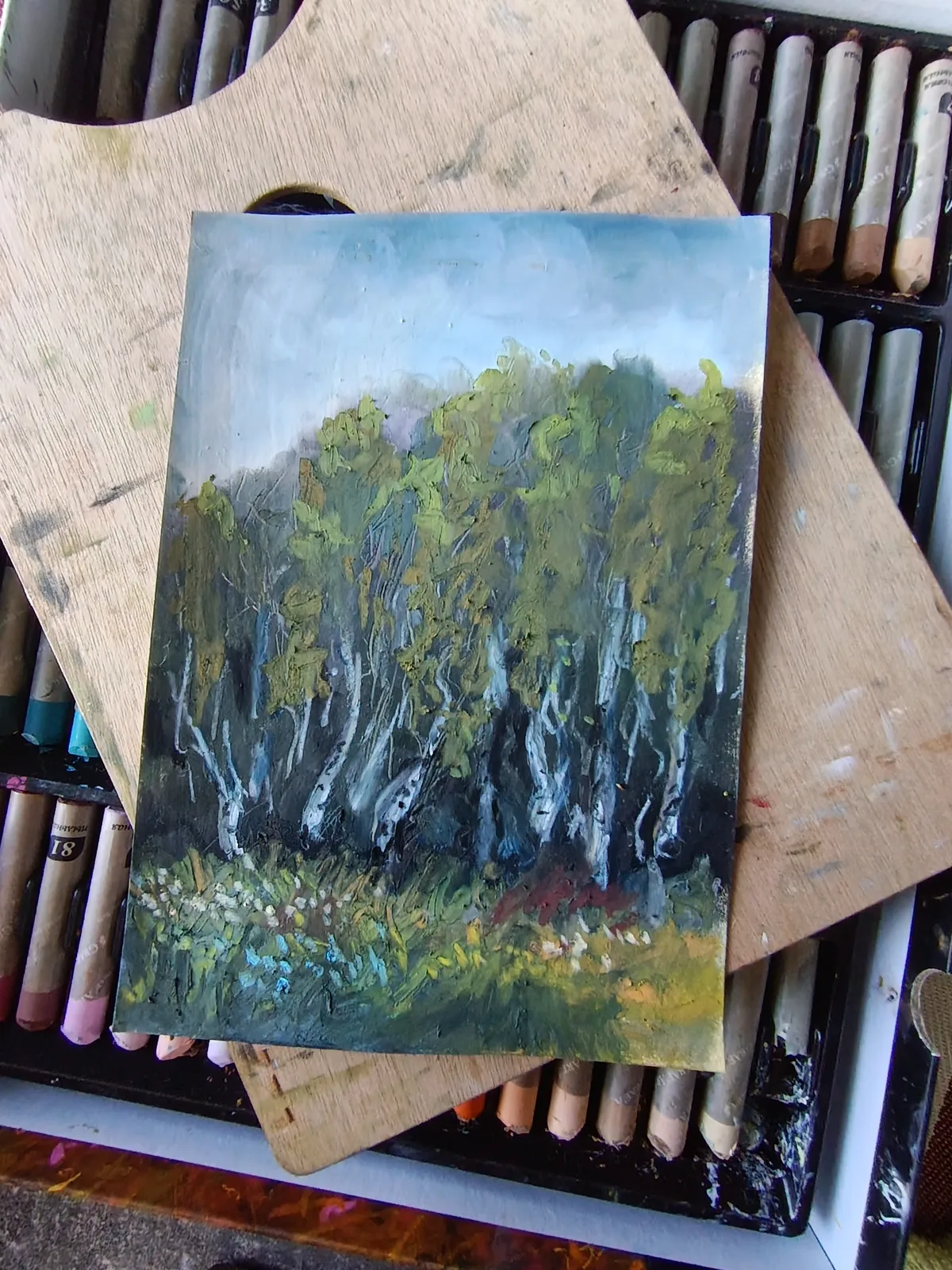 Березовая роща, 15*20 см.