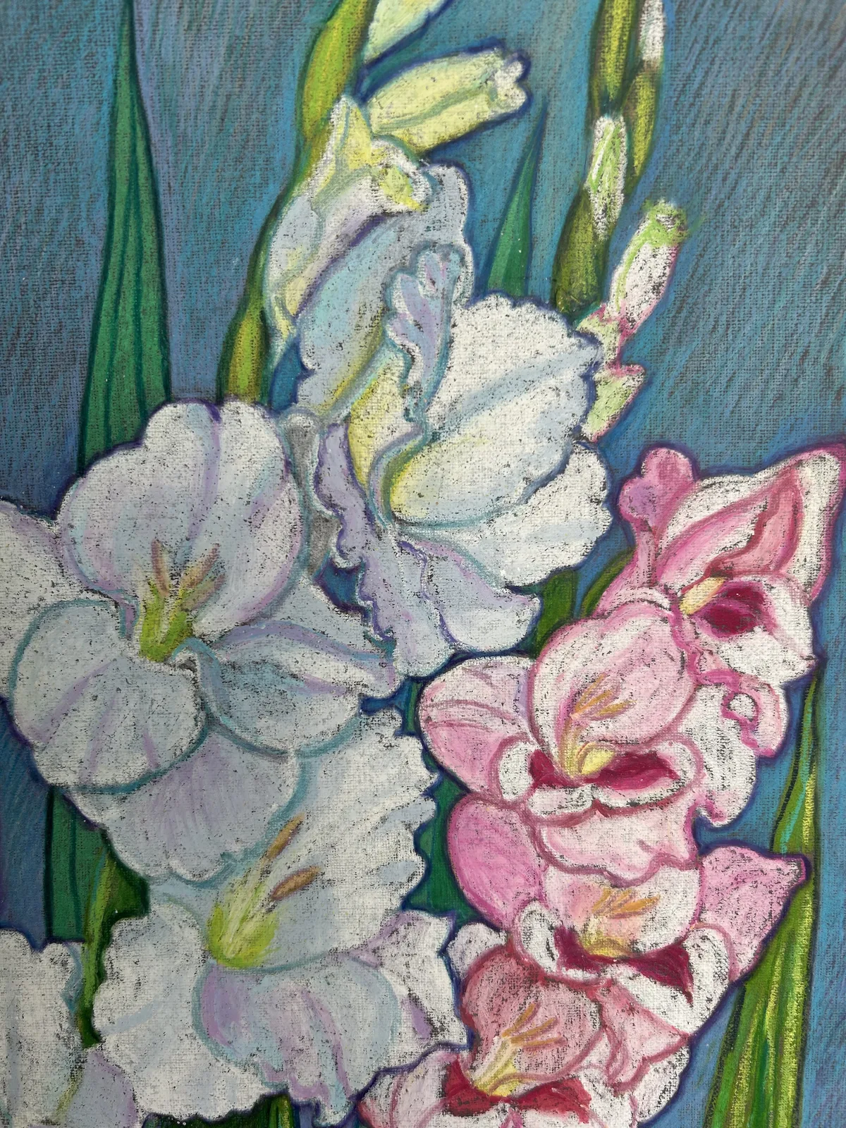 Гладиолусы