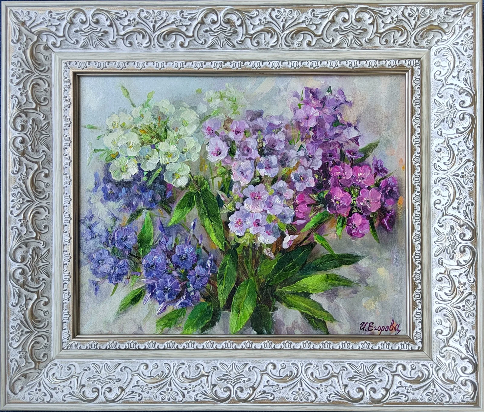 Флоксы в палисаднике