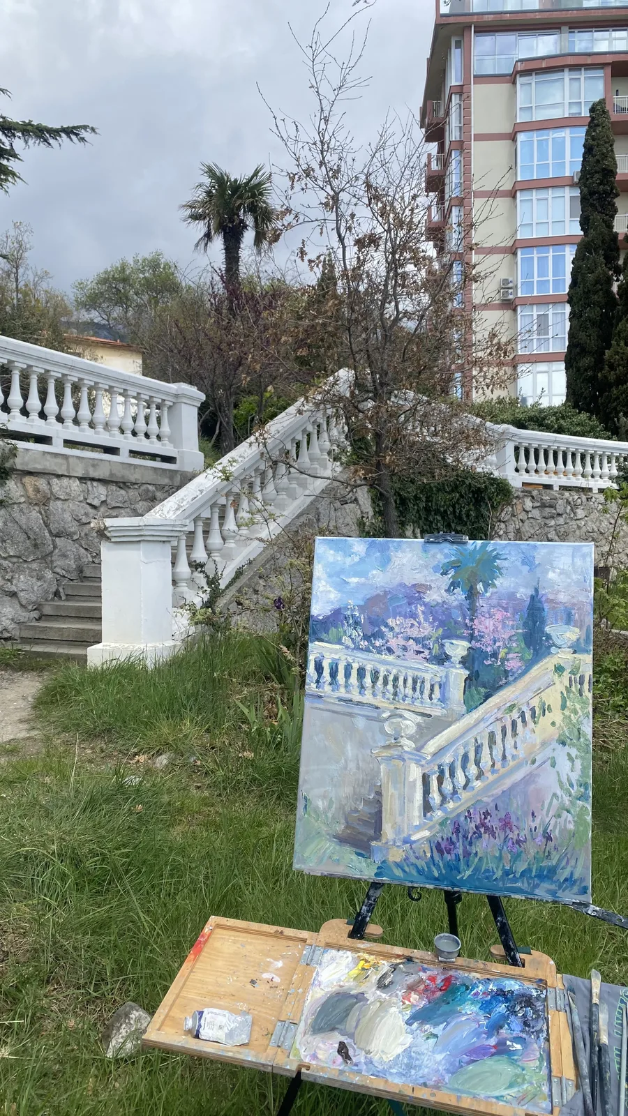 Цветущая дымка