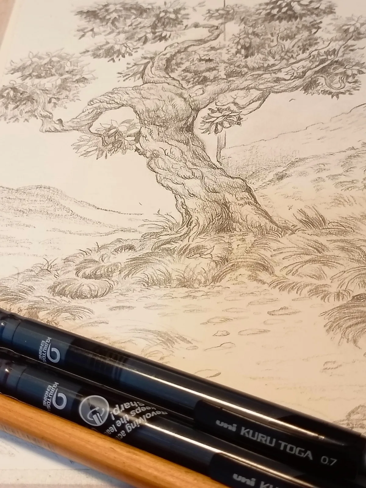 Дерево из "Сонной Долины"