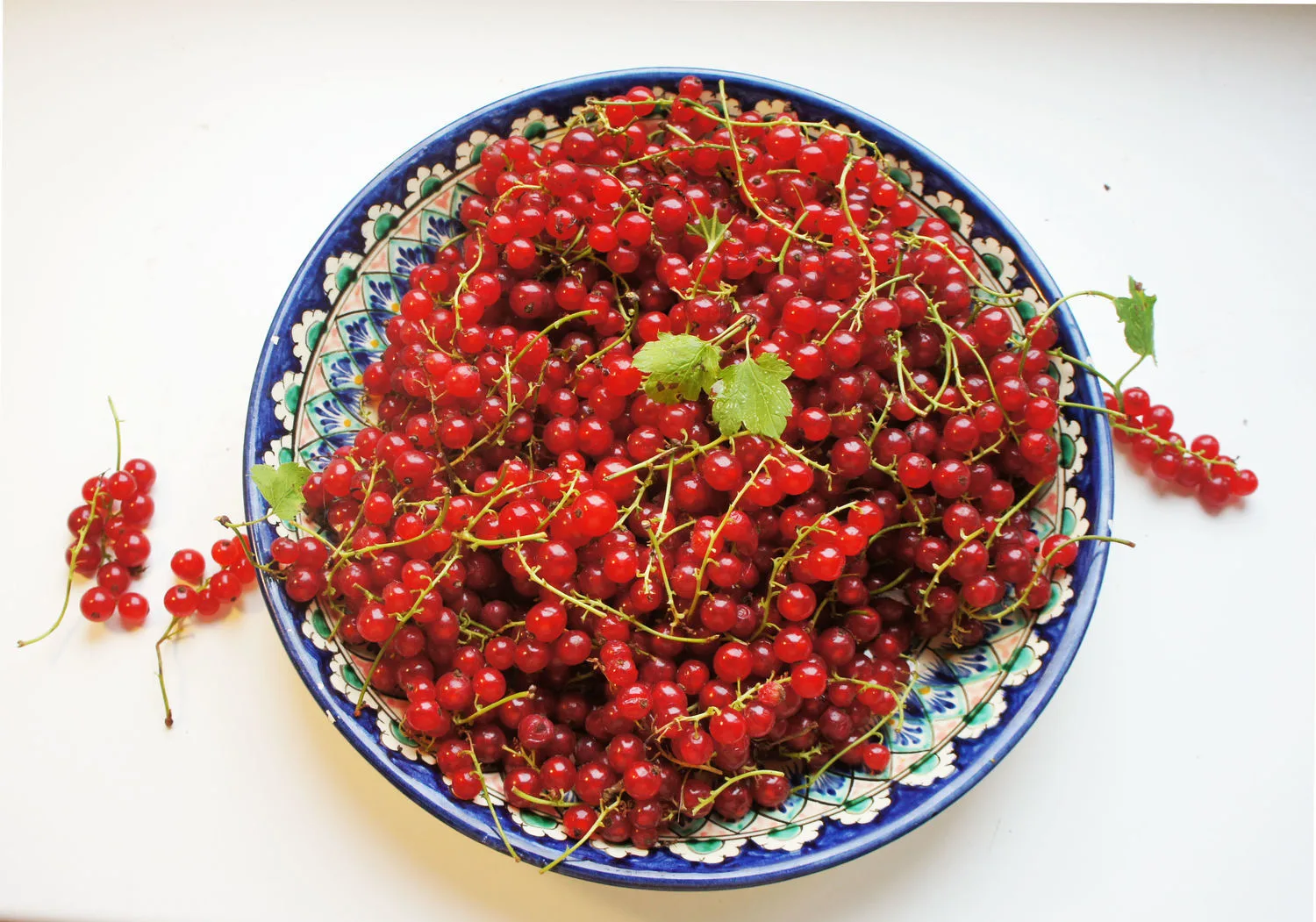 Красная смородина