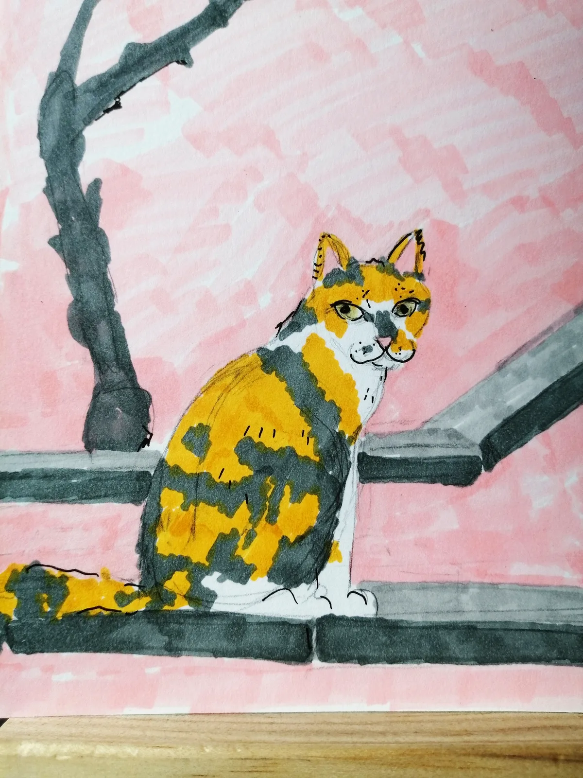 Кот у розовой стены