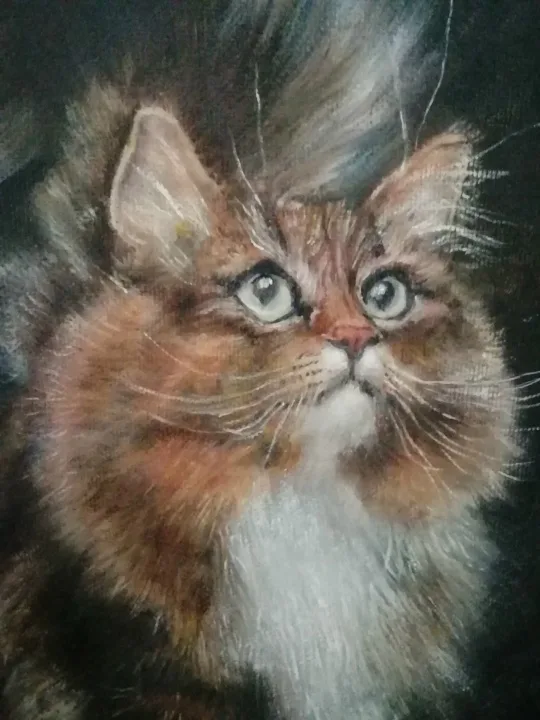 кошка