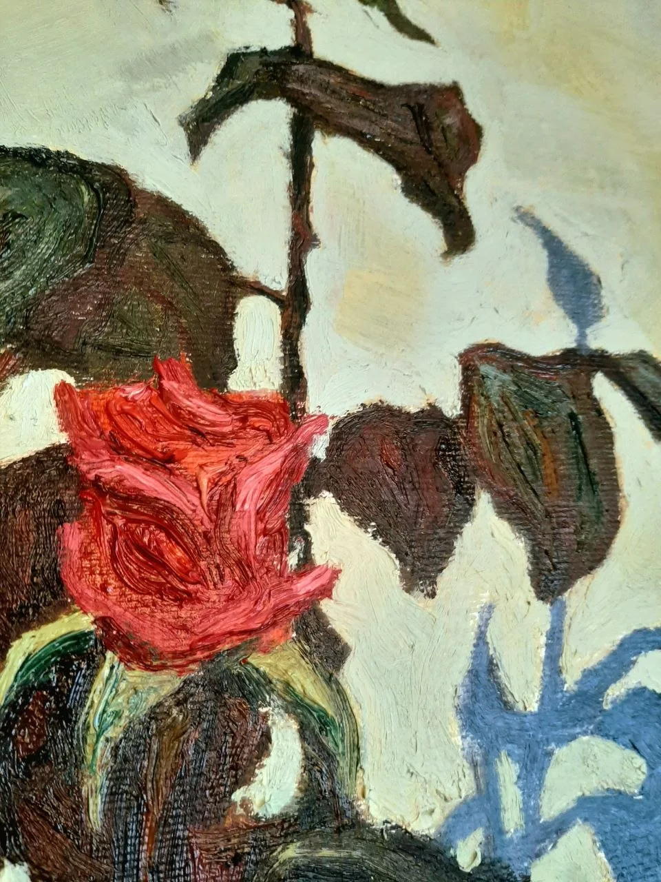 Цветы и тень