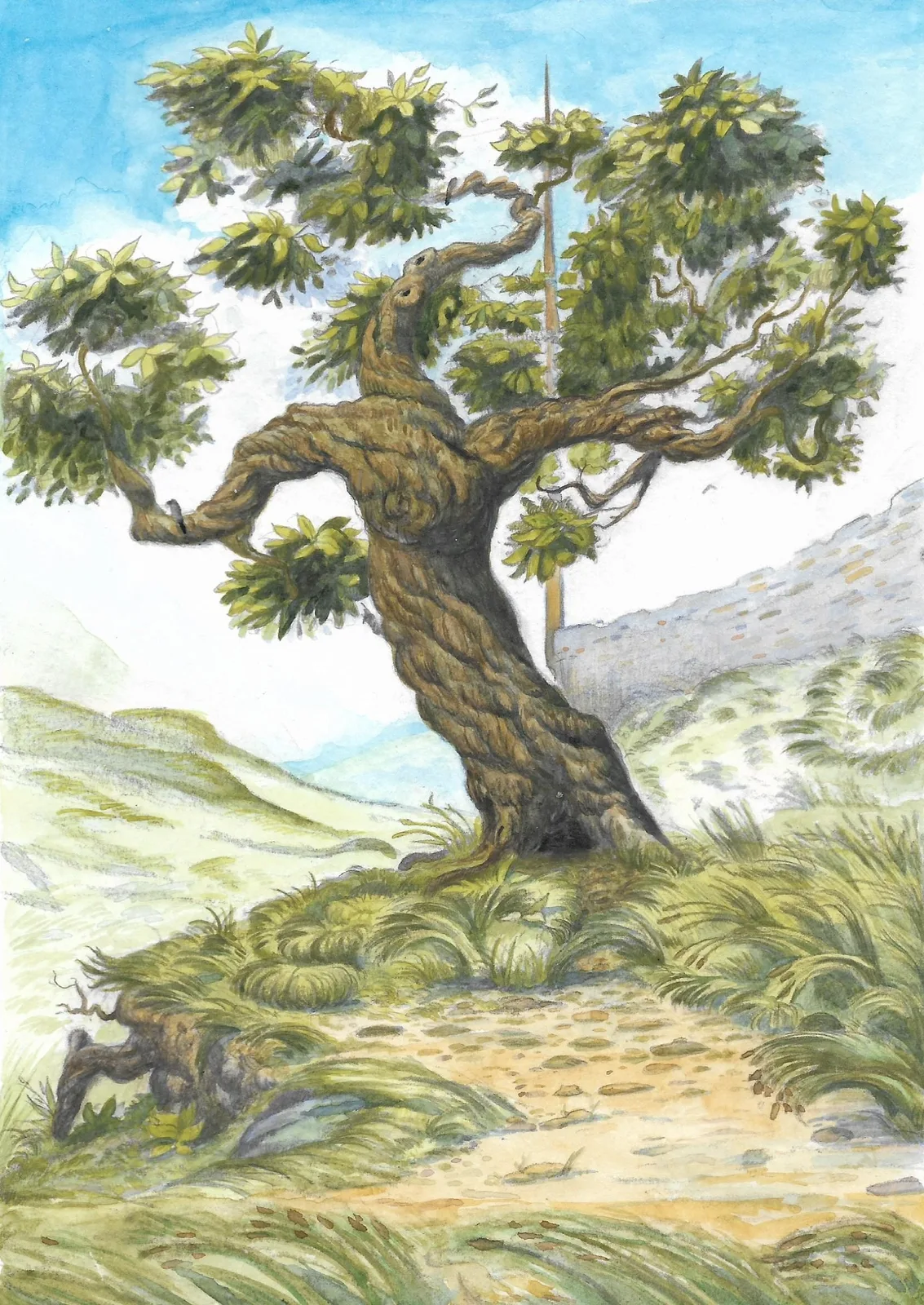 Картина «Дерево из "Сонной Долины"» — John Green Montgomery, Пейзаж, Погрузитесь в таинственный мир древнего леса с этой утончённой акварельной рабо…