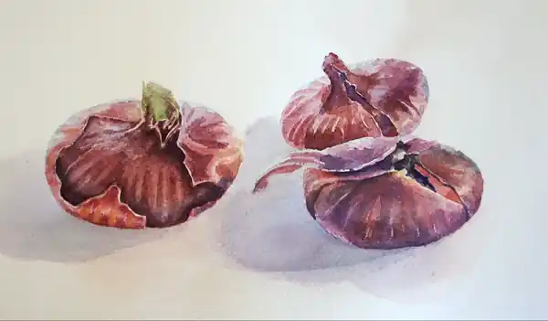 Красный лук