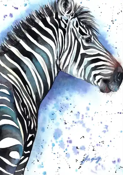Зебра