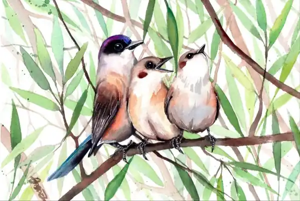 Птички