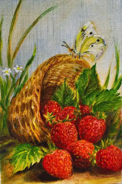 Магнитная коллекция
